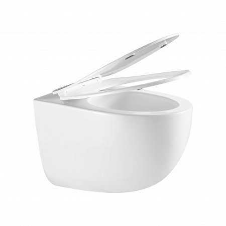 Подвесной унитаз безободковый Terminus Енисей Монолит 560х390 белый Наро-Фоминск - фото 7 Подвесной унитаз безободковый Terminus Енисей Монолит 560х390 белый Наро-Фоминск - фото 7