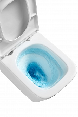 Подвесной унитаз безободковый Terminus Ватикан Монолит 490х340 белый Наро-Фоминск - фото 8