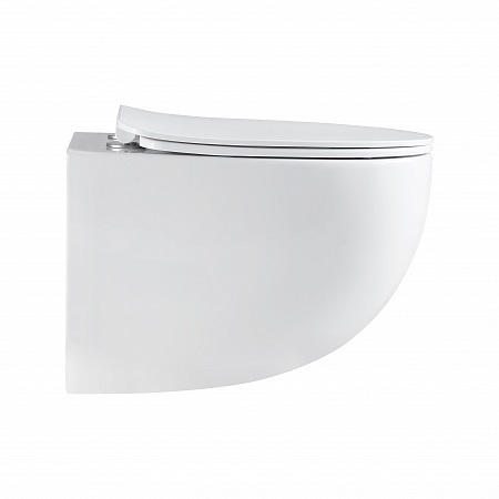 Подвесной унитаз безободковый Terminus Енисей Монолит 560х390 белый Наро-Фоминск - фото 4 Подвесной унитаз безободковый Terminus Енисей Монолит 560х390 белый Наро-Фоминск - фото 4