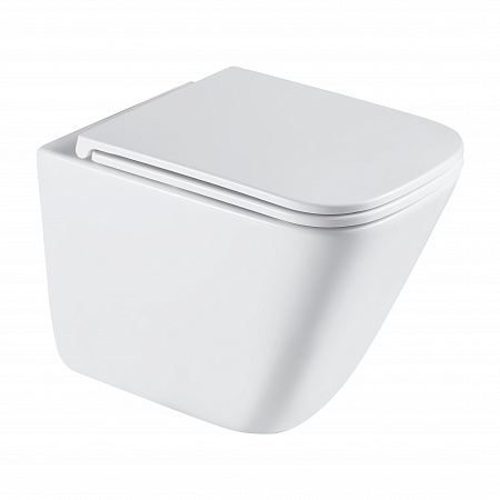 Подвесной унитаз безободковый Terminus Ватикан Монолит 490х340 белый Наро-Фоминск - фото 2