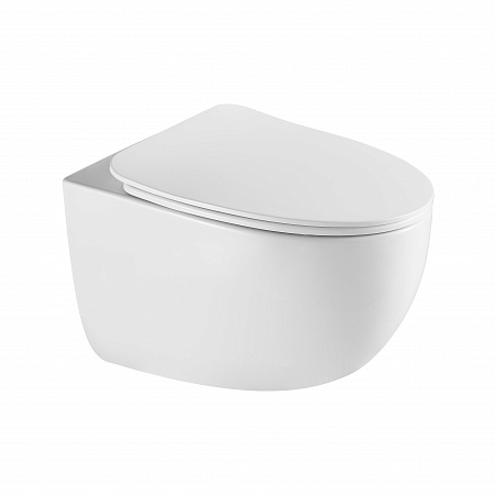 Подвесной унитаз безободковый Terminus Енисей Монолит 560х390 белый Наро-Фоминск - фото 2 Подвесной унитаз безободковый Terminus Енисей Монолит 560х390 белый Наро-Фоминск - фото 2