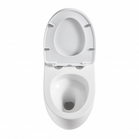 Подвесной унитаз безободковый Terminus Енисей Монолит 560х390 белый Наро-Фоминск - фото 3 Подвесной унитаз безободковый Terminus Енисей Монолит 560х390 белый Наро-Фоминск - фото 3