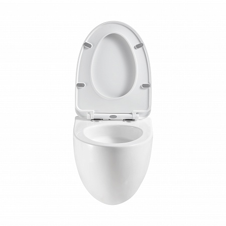 Подвесной унитаз безободковый Terminus Енисей Монолит 560х390 белый Наро-Фоминск - фото 5 Подвесной унитаз безободковый Terminus Енисей Монолит 560х390 белый Наро-Фоминск - фото 5